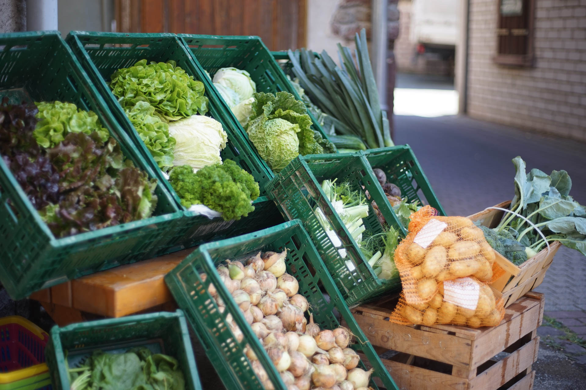 Markttag in der Mühle Beck